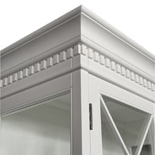 Charlotte 2 Door Display Cabinet